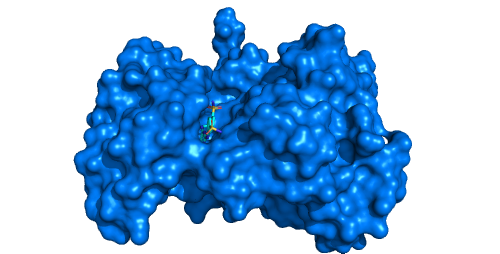 Tyrosine kinase EphB4 (pdb id: 2vwx) with shallow open pocket, for which the channel analysis is pointless.